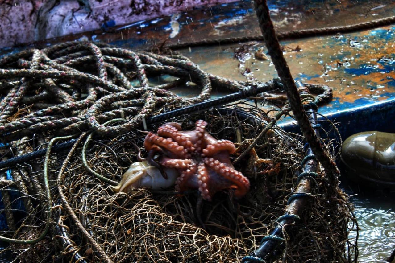 Willa Ittiturismo Il Vecchio E Il Mare Grottammare Zewnętrze zdjęcie